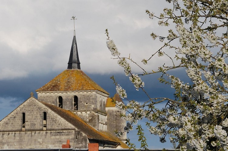 Photo JL Eglise Coussay (40)