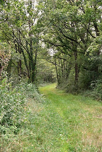 Photos JL 08-2021 (42)