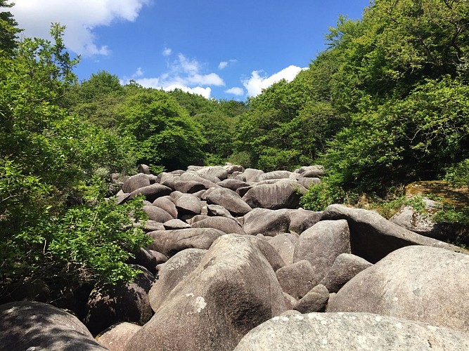 Les Landes de Locarn