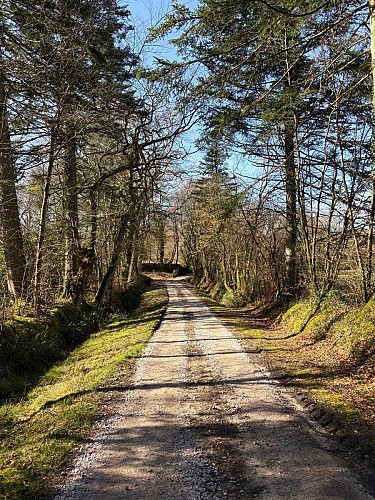 Les Bois de la Glacerie