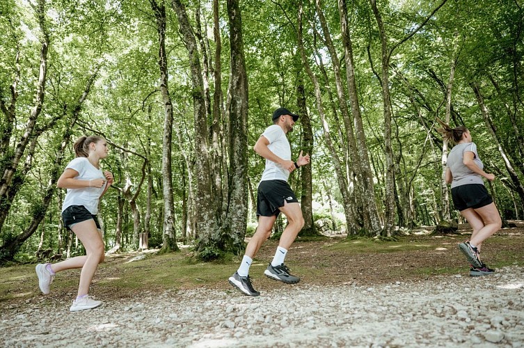 Les Bois de la Glacerie