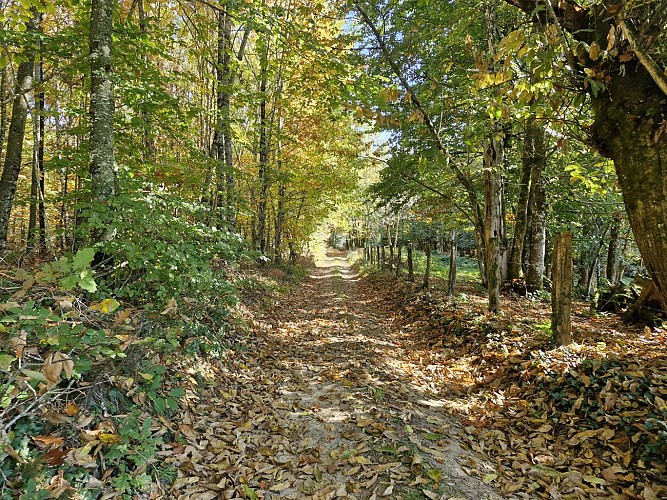 © Jade Lautrete (36)