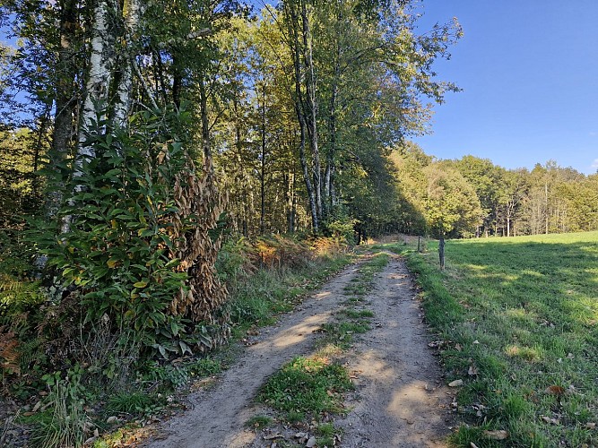 © Jade Lautrete (22)