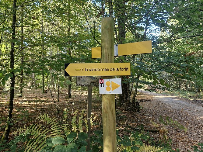 © Jade Lautrete (32)