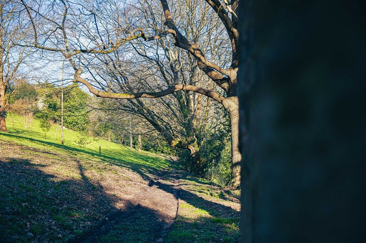 Les panoramas cherbourgeois