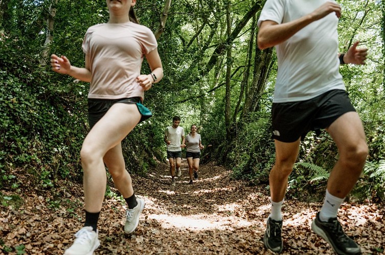 Le Mont à la Quesne