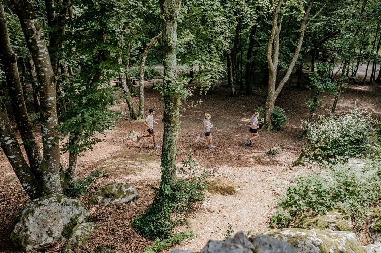 Le Mont à la Quesne