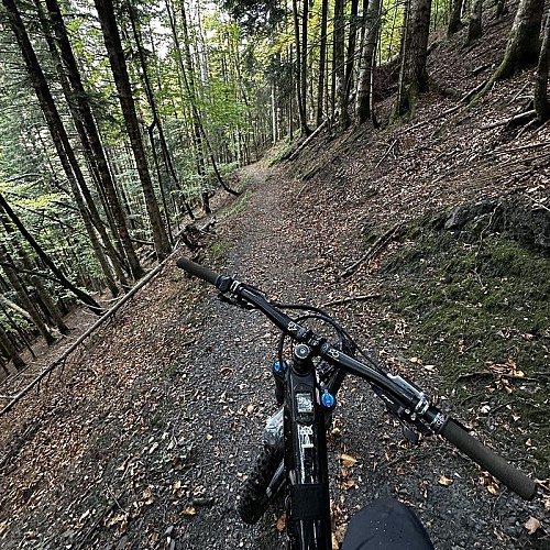 Hospice de France (5)