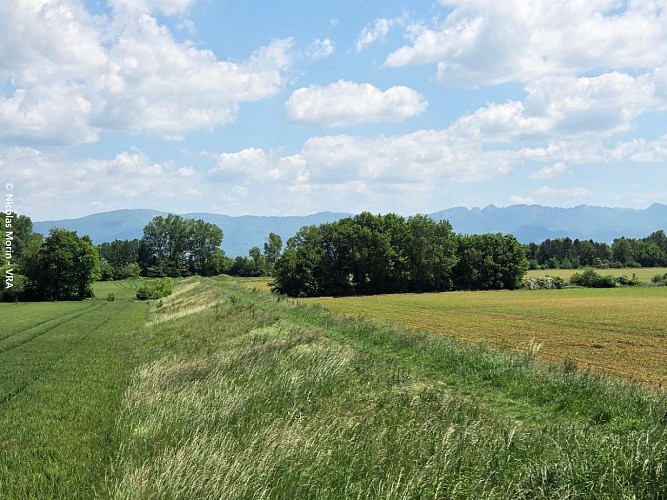 Le sentier des digues