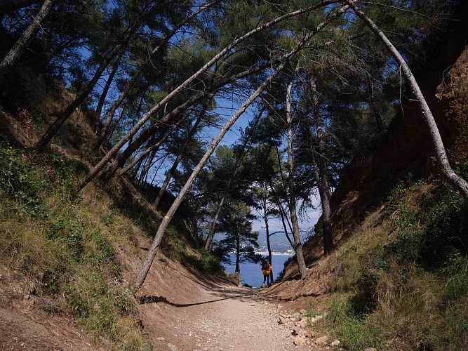 Le sentier patrimonial de la pointe Grenier