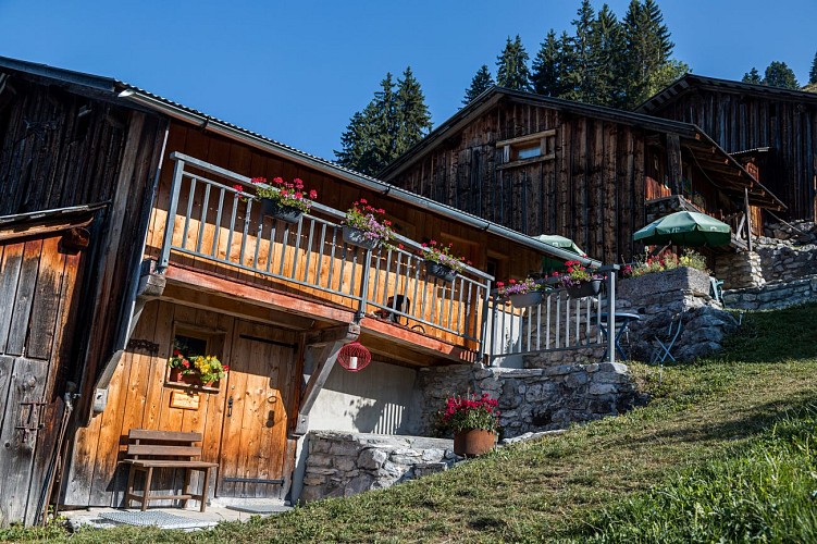 Itinéraire pédestre : l'Aiguille du Criou_Samoëns