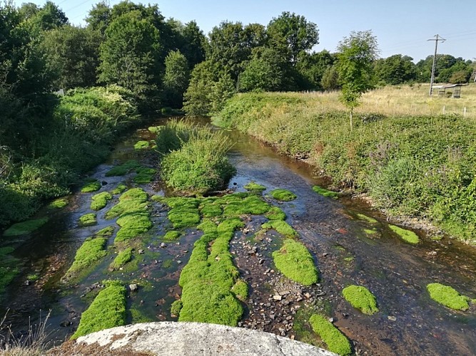 L'Aurence au niveau de la rue du Mas Loge - Copie