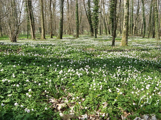 Parc du Mas Jambost une belle journée d'avril web