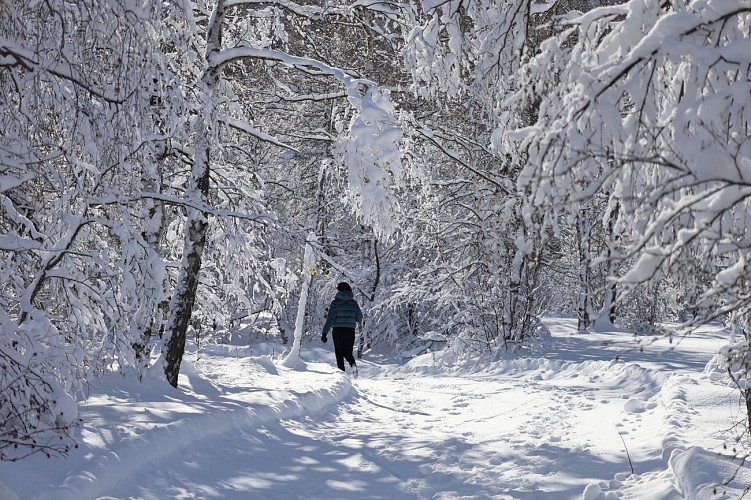 Pedestrian route to the northern area of Villar d'Arène_Villar-d'Arêne