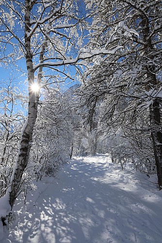 Pedestrian route to the northern area of Villar d'Arène_Villar-d'Arêne