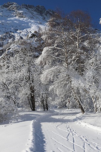 Pedestrian route to the northern area of Villar d'Arène_Villar-d'Arêne