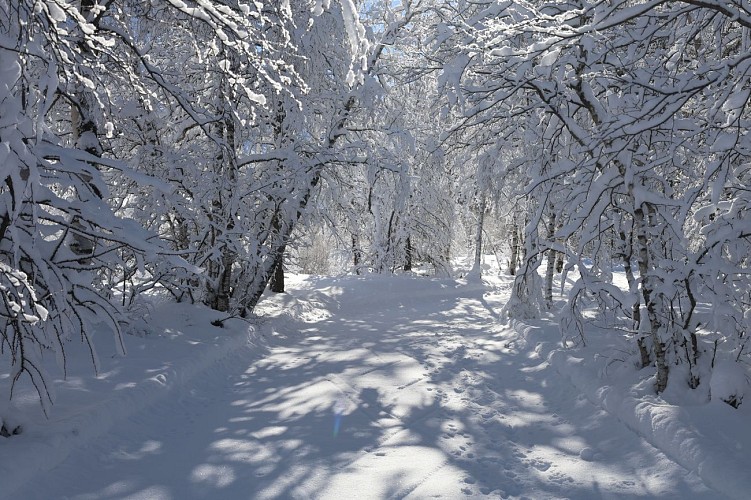 Pedestrian route to the northern area of Villar d'Arène_Villar-d'Arêne