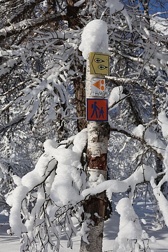 Percorso pedonale per il comprensorio sciistico nordico di Villar d'Arène_Villar-d'Arêne