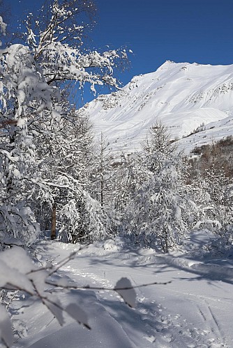 Percorso pedonale per il comprensorio sciistico nordico di Villar d'Arène_Villar-d'Arêne
