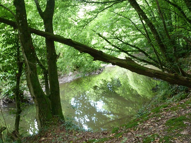 Cousolre Circuit de la hante