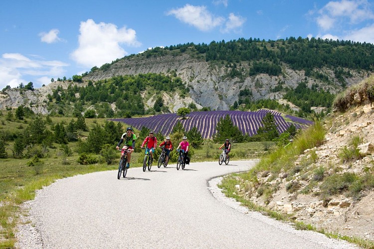 Les P'tites Routes Du Soleil ®