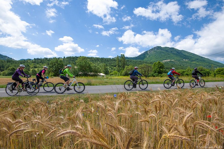 Les P'tites Routes Du Soleil ®