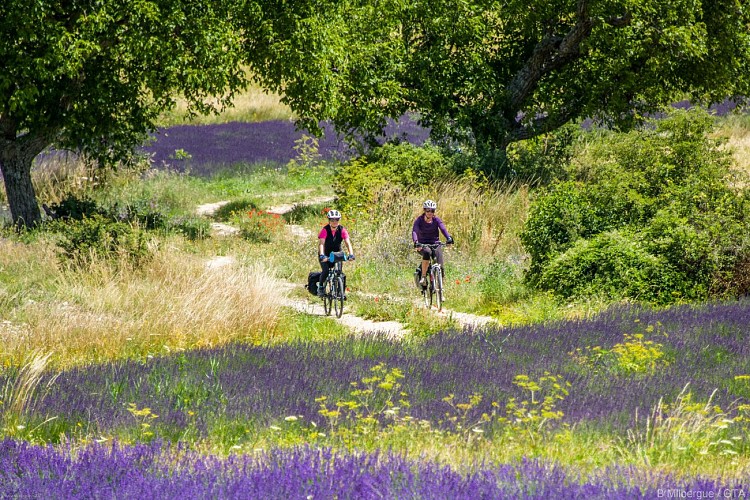 Les P'tites Routes Du Soleil ®