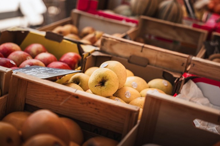 Route touristique Vélo - Des Usses aux Vergers_Cruseilles