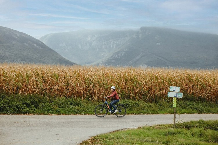 Route touristique Vélo - Des Usses aux Vergers_Cruseilles