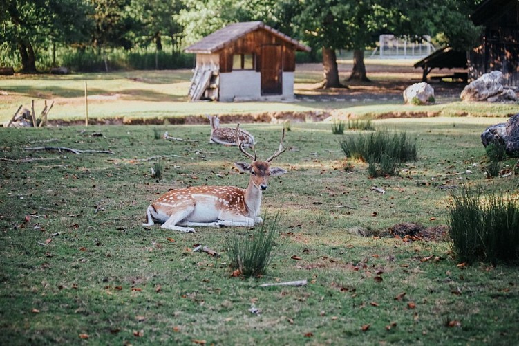 Route touristique Vélo - Le Salève Côté Bornes_Cruseilles