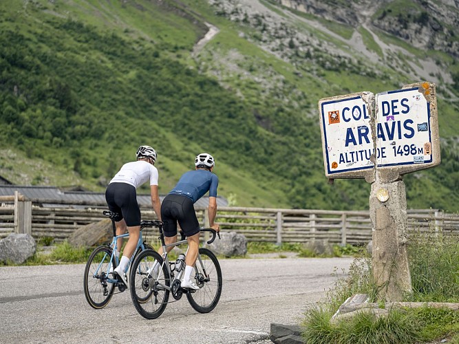 Collection de Cols Alpins_Arrivée au Col des Aravis