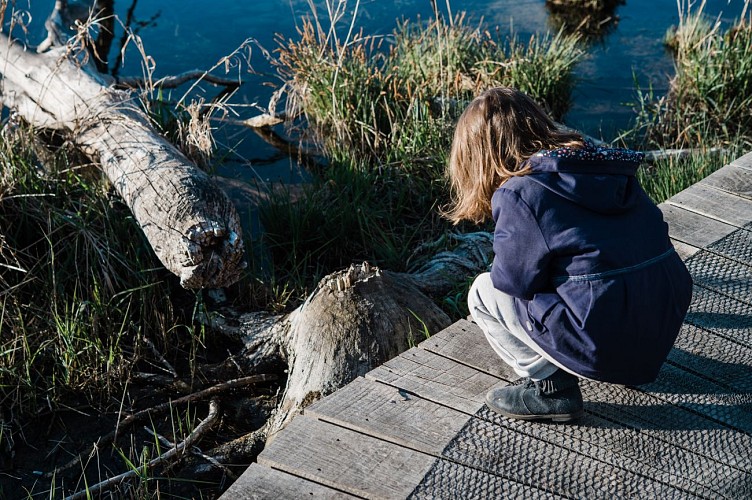 Balade familiale au cœur de l’Espace Naturel Sensible de la Save : de Roche-Plage au Lac de Save_Morestel