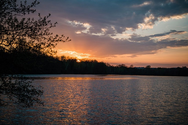 Balade familiale au cœur de l’Espace Naturel Sensible de la Save : de Roche-Plage au Lac de Save_Morestel