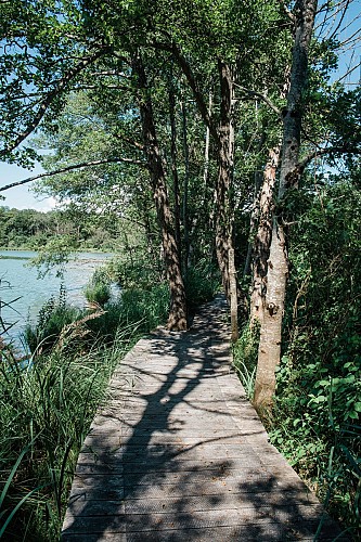 Balade familiale au cœur de l’Espace Naturel Sensible de la Save : de Roche-Plage au Lac de Save_Morestel