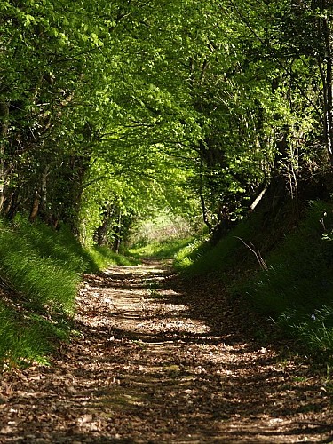 La vallée de la Jambette