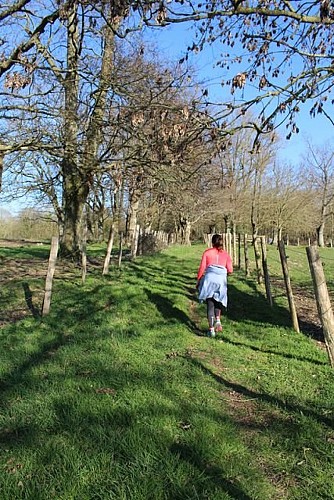 La vallée de la Jambette