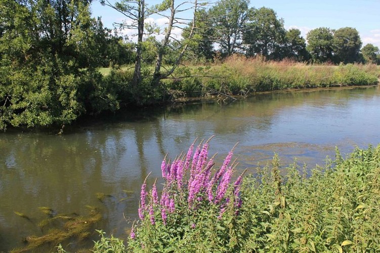 La vallée de la Jambette
