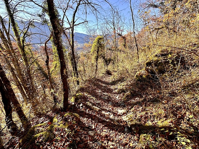 Itinéraire pédestre : Découverte du village de Samoëns par les Moulins et les Pleignes_Samoëns
