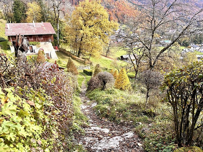 Wandelroute: Ontdek het dorp Samoëns via Les Moulins en Les Plaignes_Samoëns