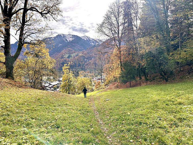 Wandelroute: Ontdek het dorp Samoëns via Les Moulins en Les Plaignes_Samoëns