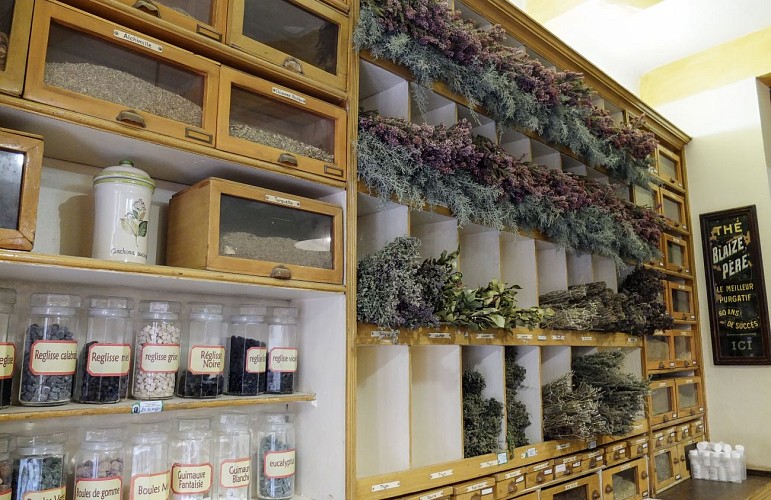 herboristerie interieur