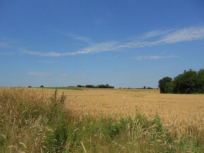 Boucle-La-Vespiere--V-Hublin-2