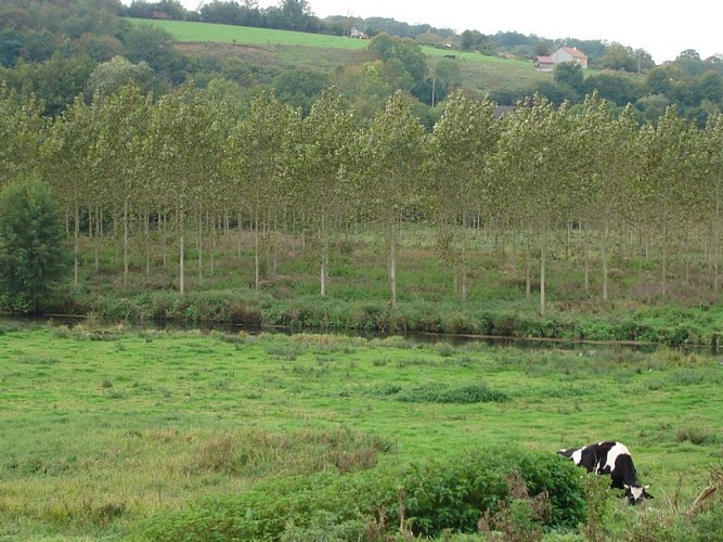 LA-CHAPELLE-YVON-vue-sur-l-Orbiquet