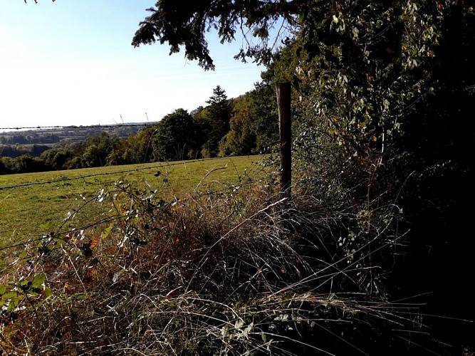 boucle-ste-marguerite-des-loges4