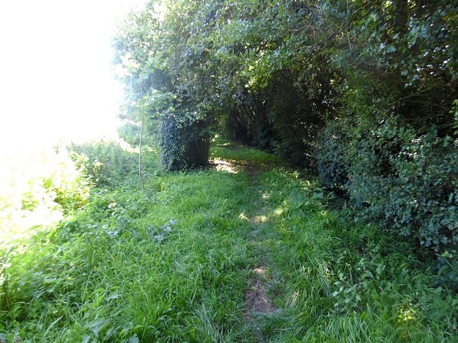 au-detour-du-chateau-Crevecoeur