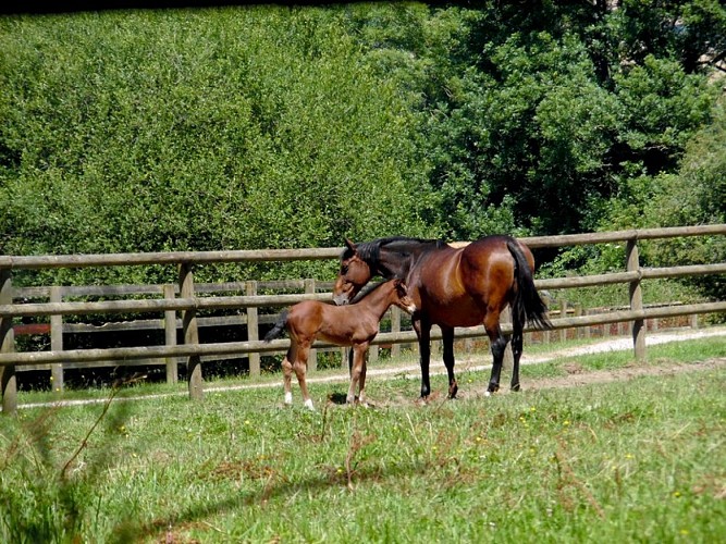 la-vieille-route-Saint-Pair2