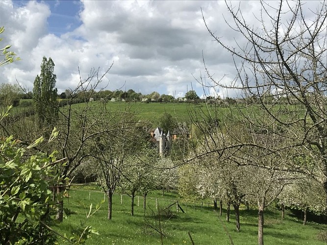 Autour-du-chateau-de-Saint-Germain-de-Livet--4-