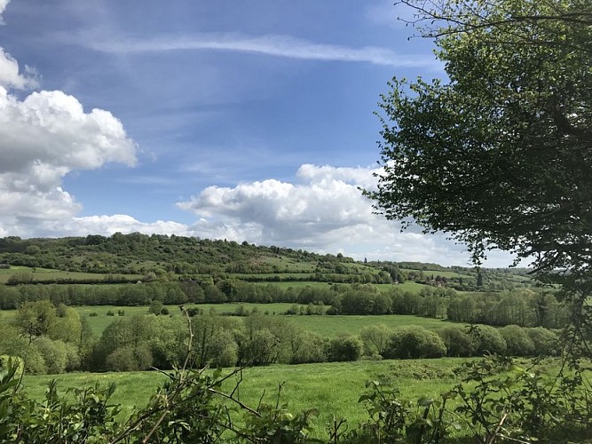 Autour-du-chateau-de-Saint-Germain-de-Livet--3-