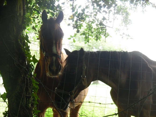 Au-depart-de-Courtonne-les-deux-eglises--2-