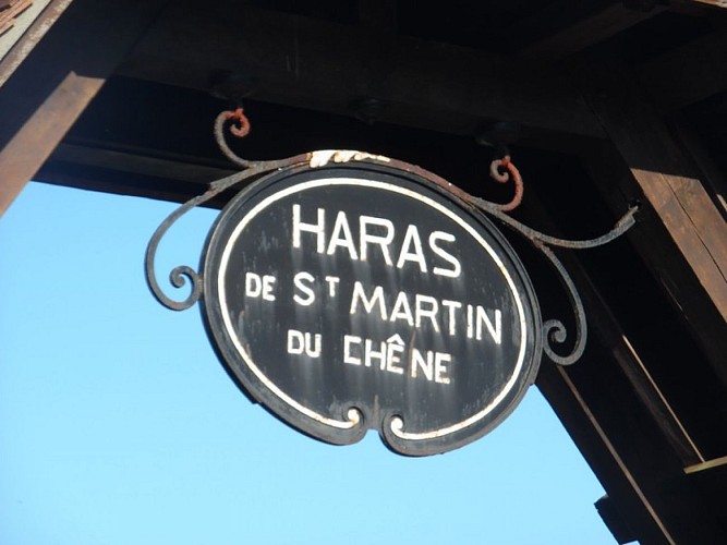 A-travers-les-haras-du-Pays-d-Auge--5-